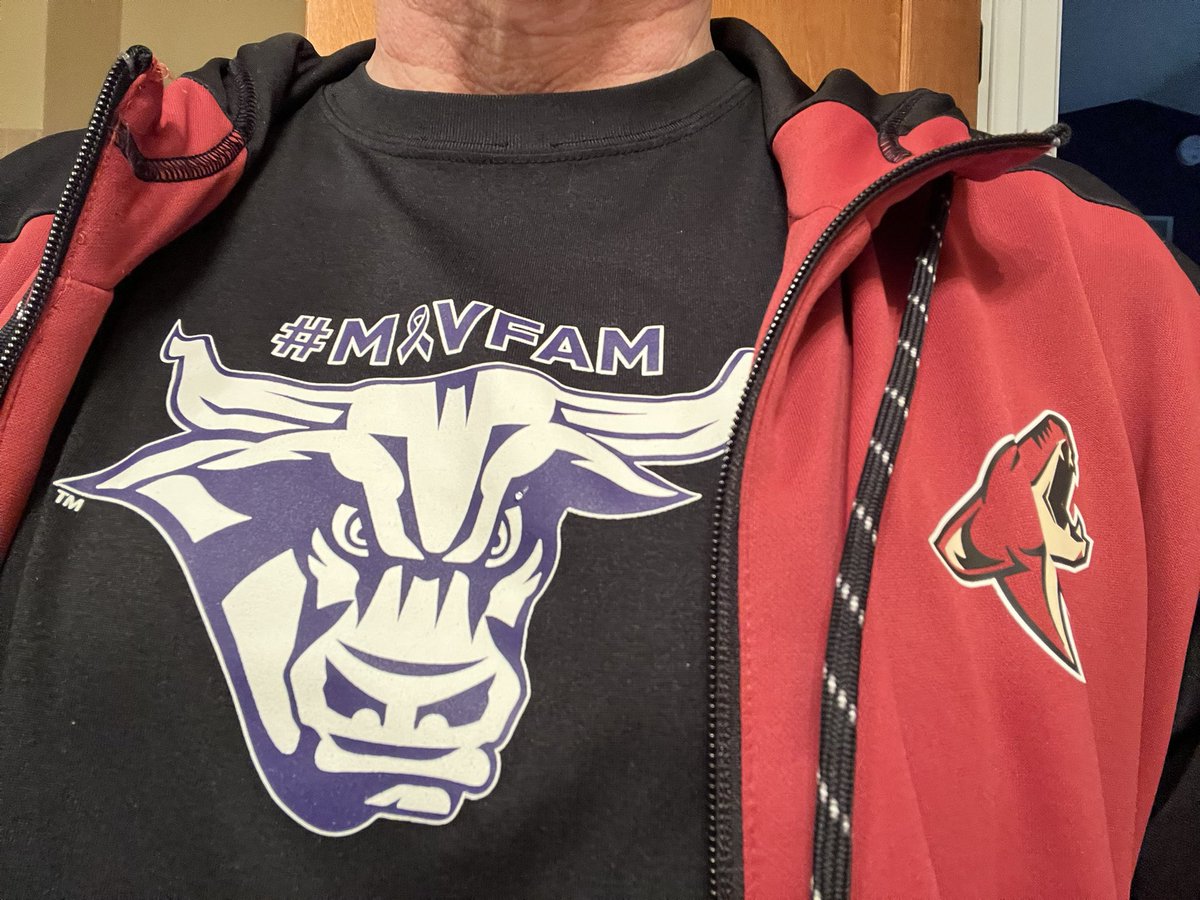 paulmhanson's tweet photo. Ready to watch hockey in the desert #MavFam #Yotespack #nhl #Coyotes https://t.co/jz9gmTpKeB