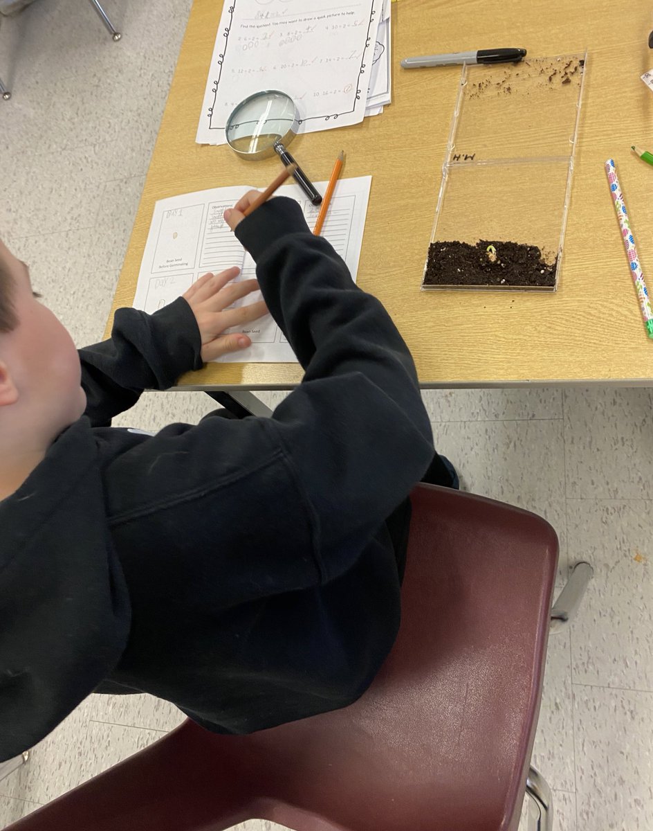MrsWakem's tweet photo. First year germinating πͺ΄ our seeds in a recycled CD case. Perfect for observations and for writing on! #Labels #Grade3Science @SDStampeders #TVDSB https://t.co/KofV9aALLl