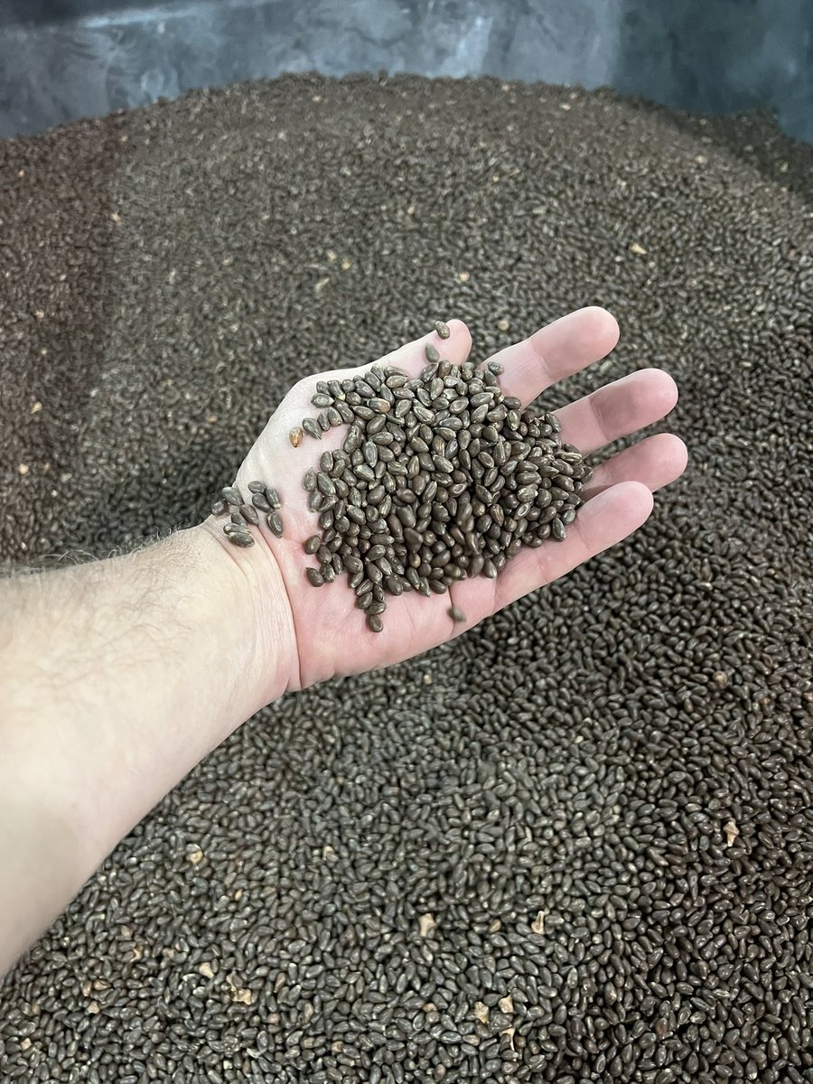 Ty Fowler tweet media