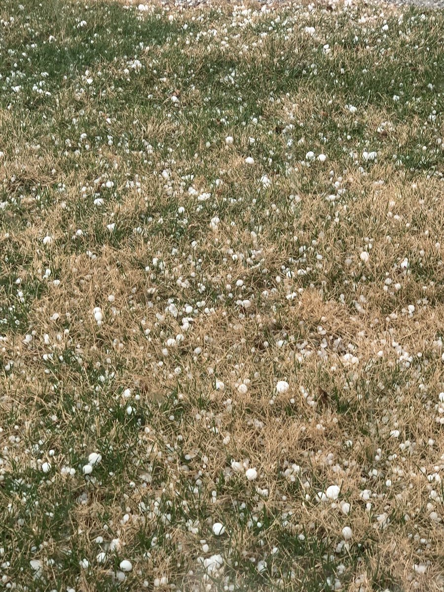 VyhEquip's tweet photo. A little rain and some pea to marble size hail https://t.co/ojSqC6spGS