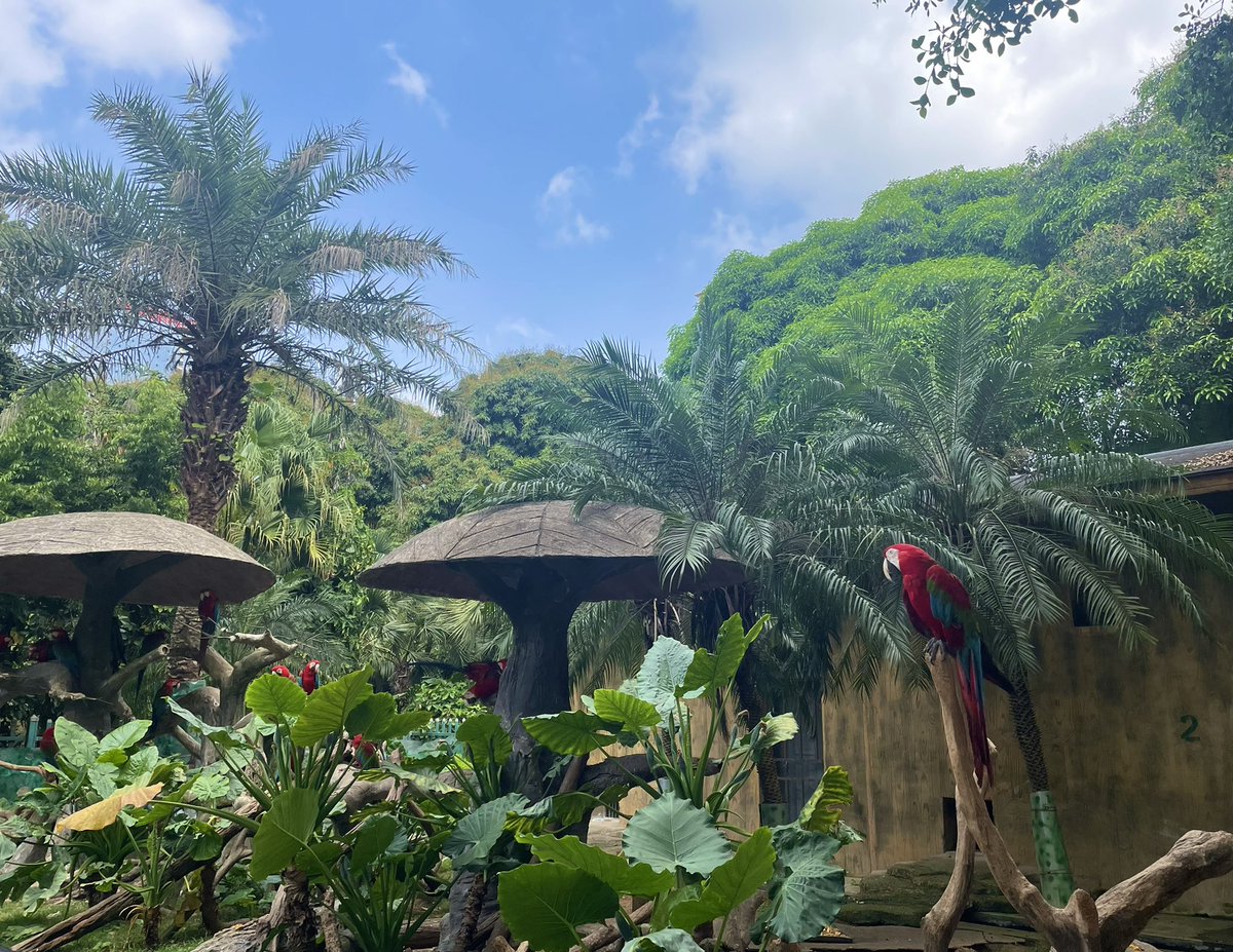 zoo day☀️✌️
動物園日~