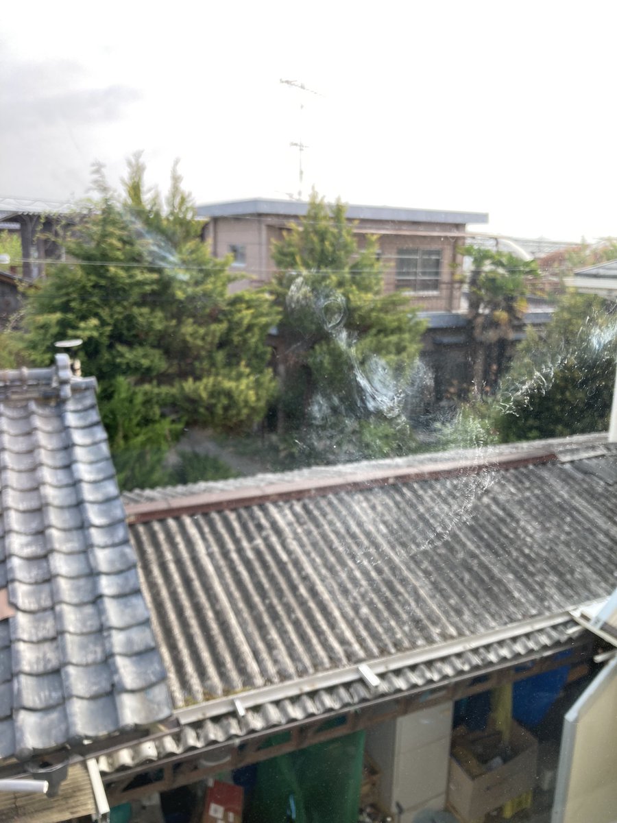da_0819's tweet photo. 窓に🕊ぶつかった跡がある！
#窓に鳩
#鳩
#窓に鳥
#事故
#死骸は無かった
#鳥がぶつかった
#まど割れなくてよかった https://t.co/0ZzxzhykRp