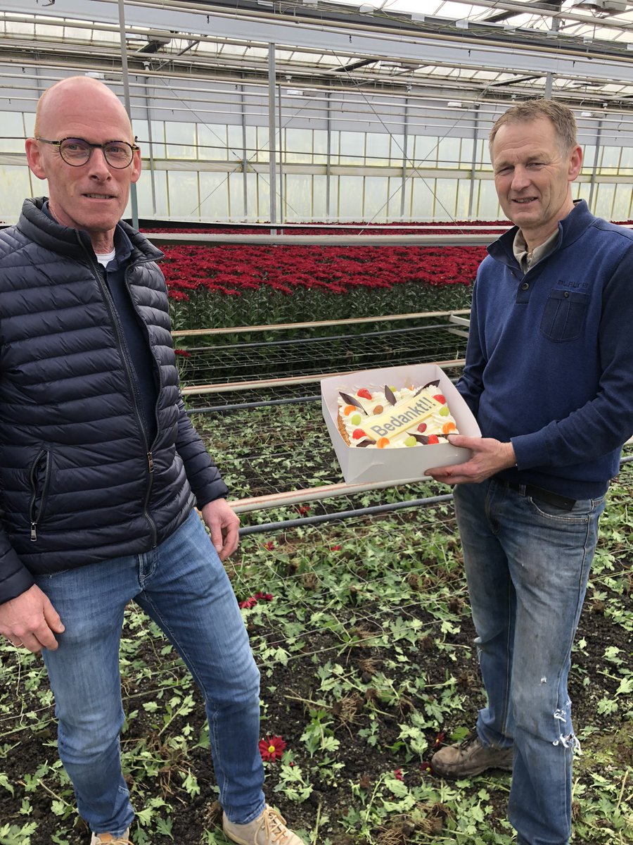 Laatste #Chrysanten van John Vollebregt ! Bedankt voor de mooie samenwerking <a href="/Iperen_Edwin/">Edwin Datthijn</a> #Genieten #rentenieren @🎉👍<a href="/iperen_nl/">Van Iperen</a>