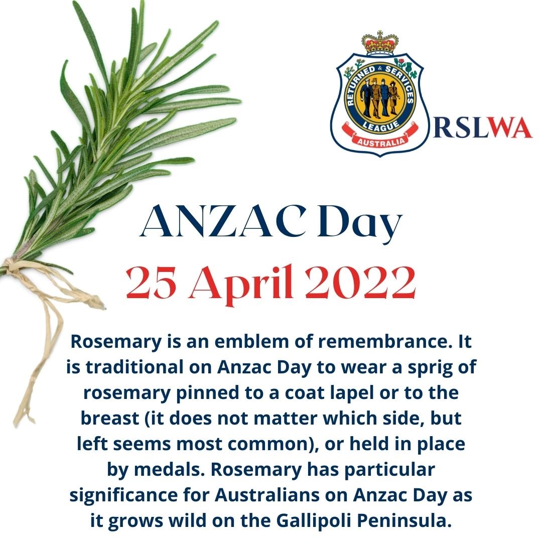 #Rosemary #ANZACDay #Gallipoli #ANZAC2022 #RSLWA