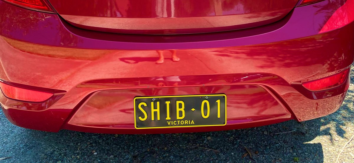 LipingLoveSHIB's tweet photo. Finally my friend going to join crypto and buy some $SHIB and other ! ✌🏻 https://t.co/GYA0OT9eIb