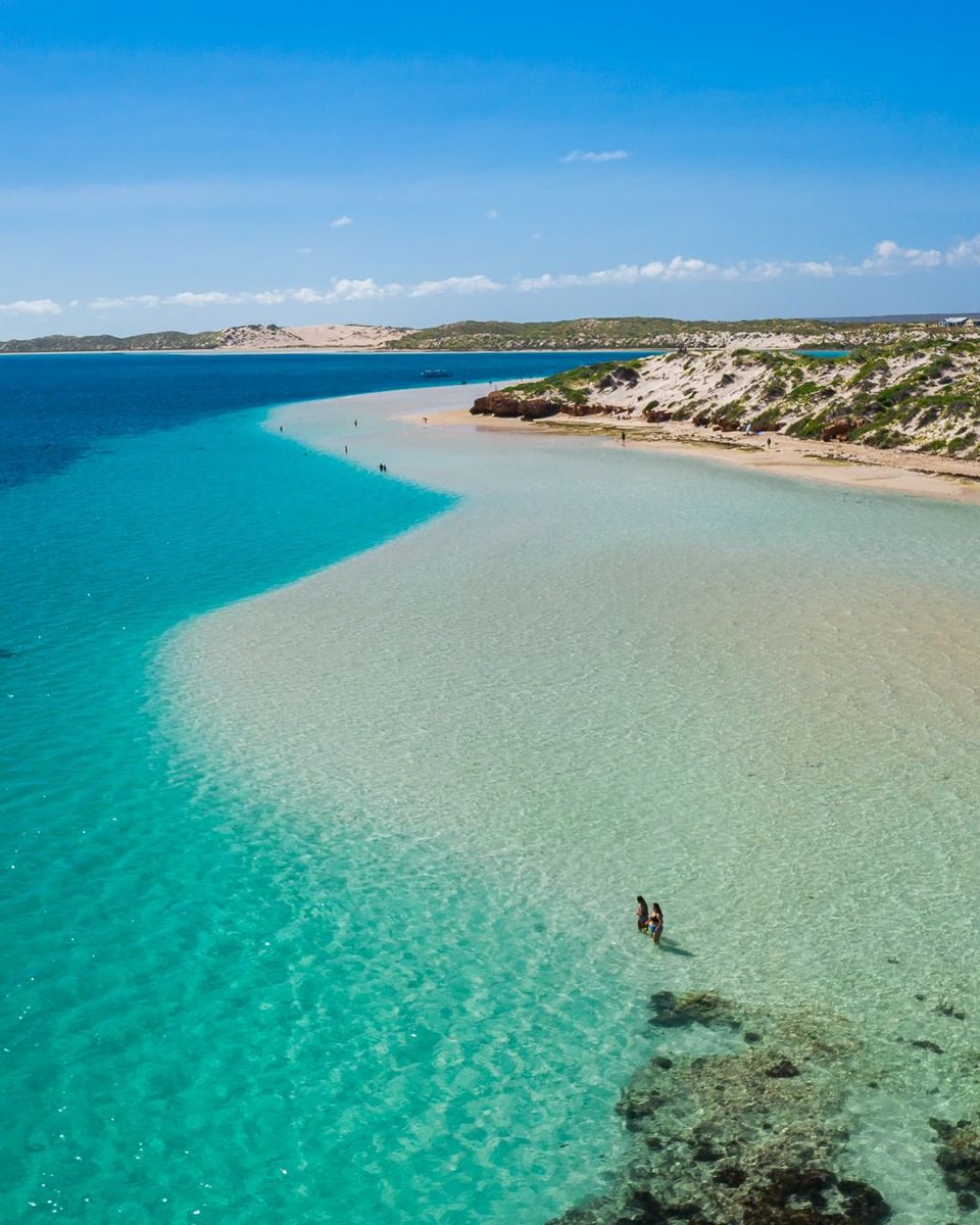 WestAustralia's tweet photo. BRB just ducking off to enjoy some laid back days the #CoralBay way👌Spend your vacay in @theCoralCoast relaxing on sandy shores or in the clear waters snorkelling the world’s largest fringing reef. #WanderOutYonder #ThisIsWA #SeeAustralia

📷 @OspreyCreative https://t.co/9VFt3ua7hh