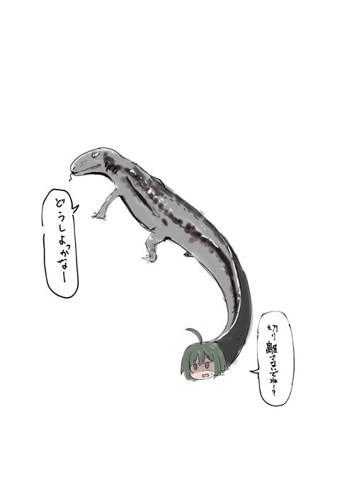 トカゲのらりさん 