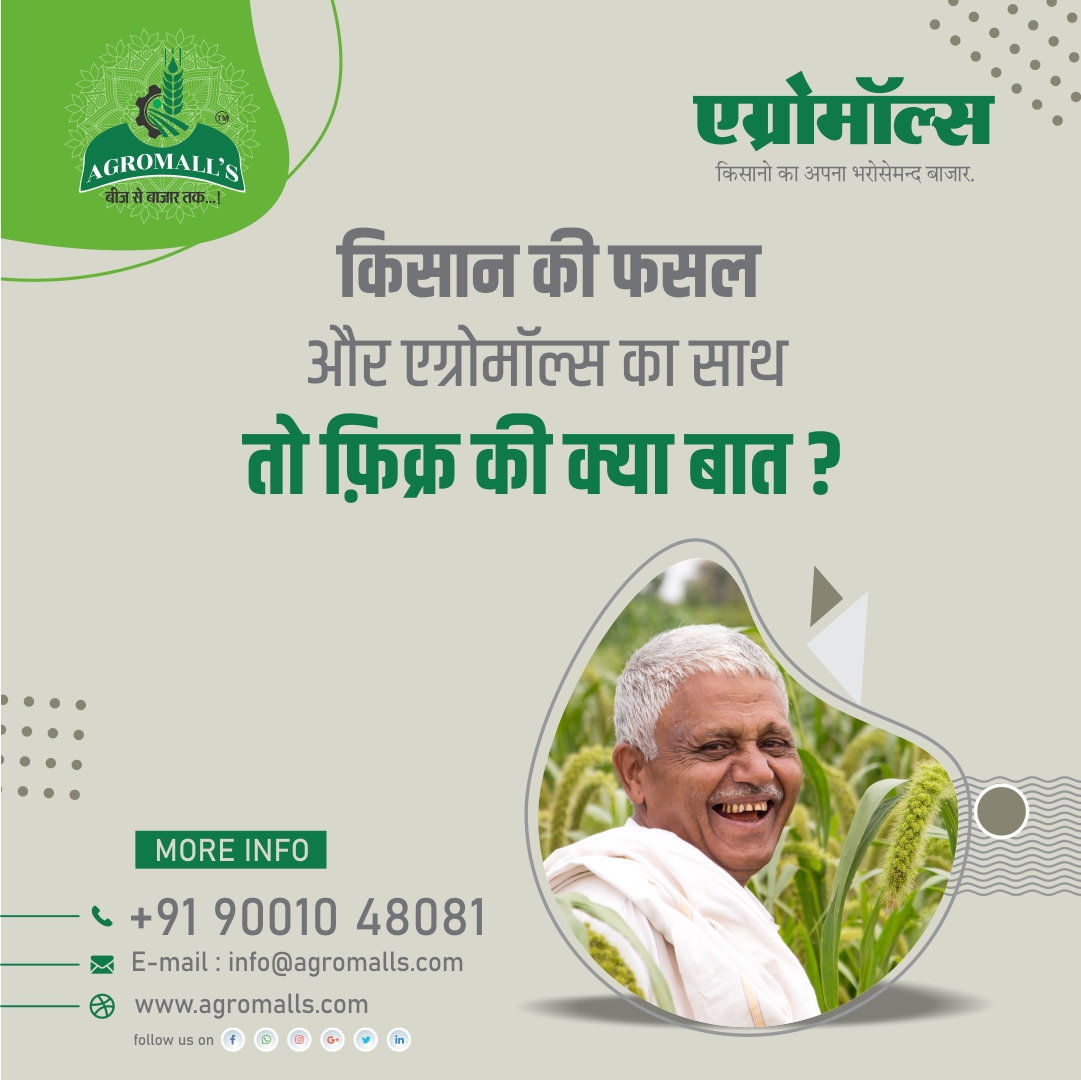 AGROMALL3's tweet photo. किसान की फसल और एग्रोमॉल्स की साथ तोह फ़िक्र की क्या बात? 

📞 9001388751
📩 info@agromalls.com
🔗 https://t.co/dNgZwIWr6u
.
#organicfarming #distributorship #opportunity #organicfood #healthylifestyle #GrowingBusiness #organicagriculture #agriculture_technique #agromall https://t.co/nR1A3rMfqe