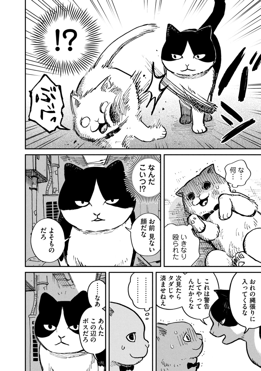 【創作】迷い猫になった飼い猫が 野良のボス猫と出会ってサバイバルする話
#ツレ猫 #マルルとハチ #保護猫 #野良猫 (1/8) 