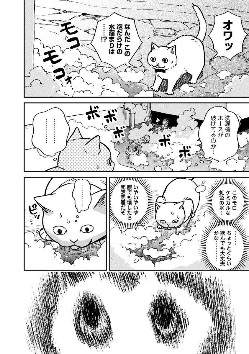 (2/8) 