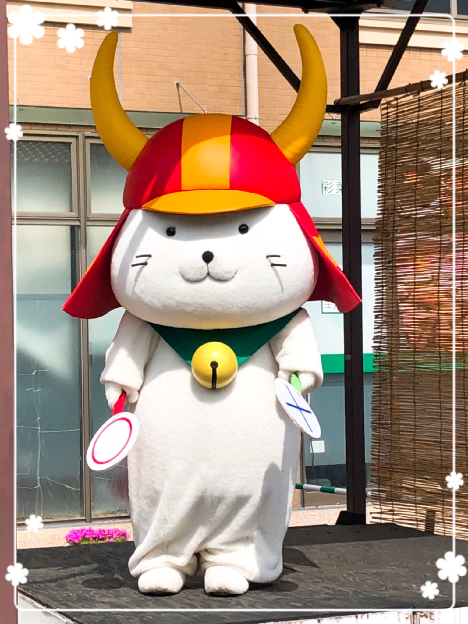 りえぞ🍄 *rie-zo* on X: 