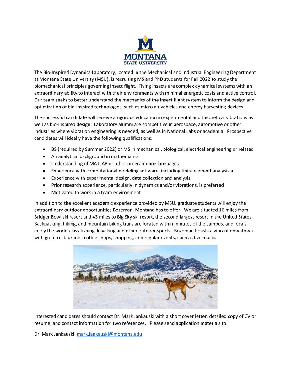 Interested in the mechanics of insect flight? My excellent collaborator Mark Jankauski is hiring Mechanical Engineering PhD students at Montana State University. Come join an exciting project in a super supportive and fun lab. Also - Bozeman is beautiful! RTs appreciated.