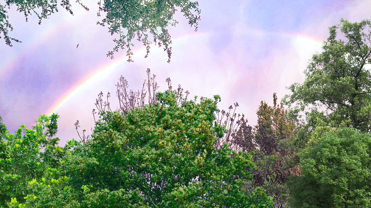PastelFayeTale's tweet photo. We saw a double rainbow today ✨😍🥰💖🌈💖🌈🌸✨🌞 The sunset cascading on the storm clouds made the sky yellowy green. It was like we were on Mars, and then the clouds parted &amp; gave us this. Dash is really out telling people about the magic of friendship! 🥰 https://t.co/zE5aydD2oM