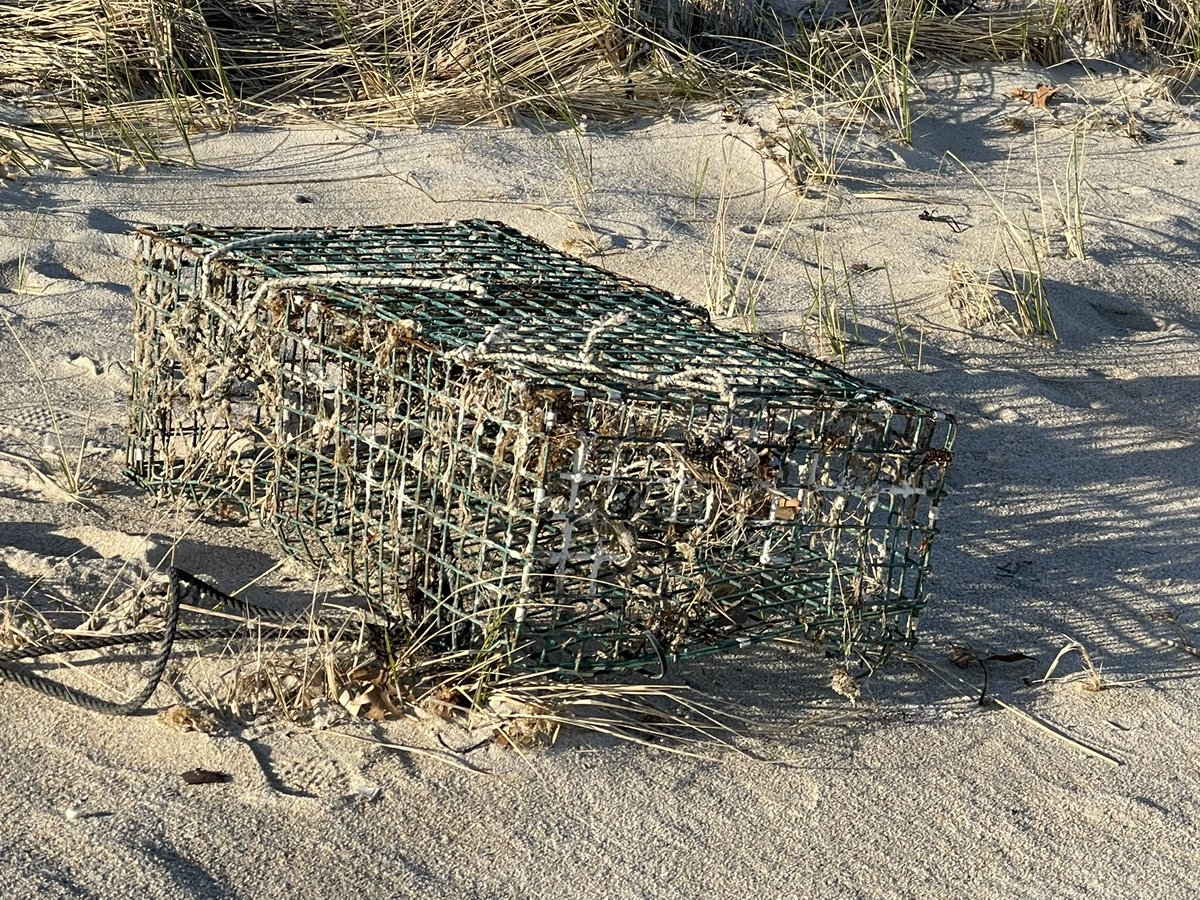 LuanneRice's tweet image. a lobster pot washed up… #AprilTextureChallenge