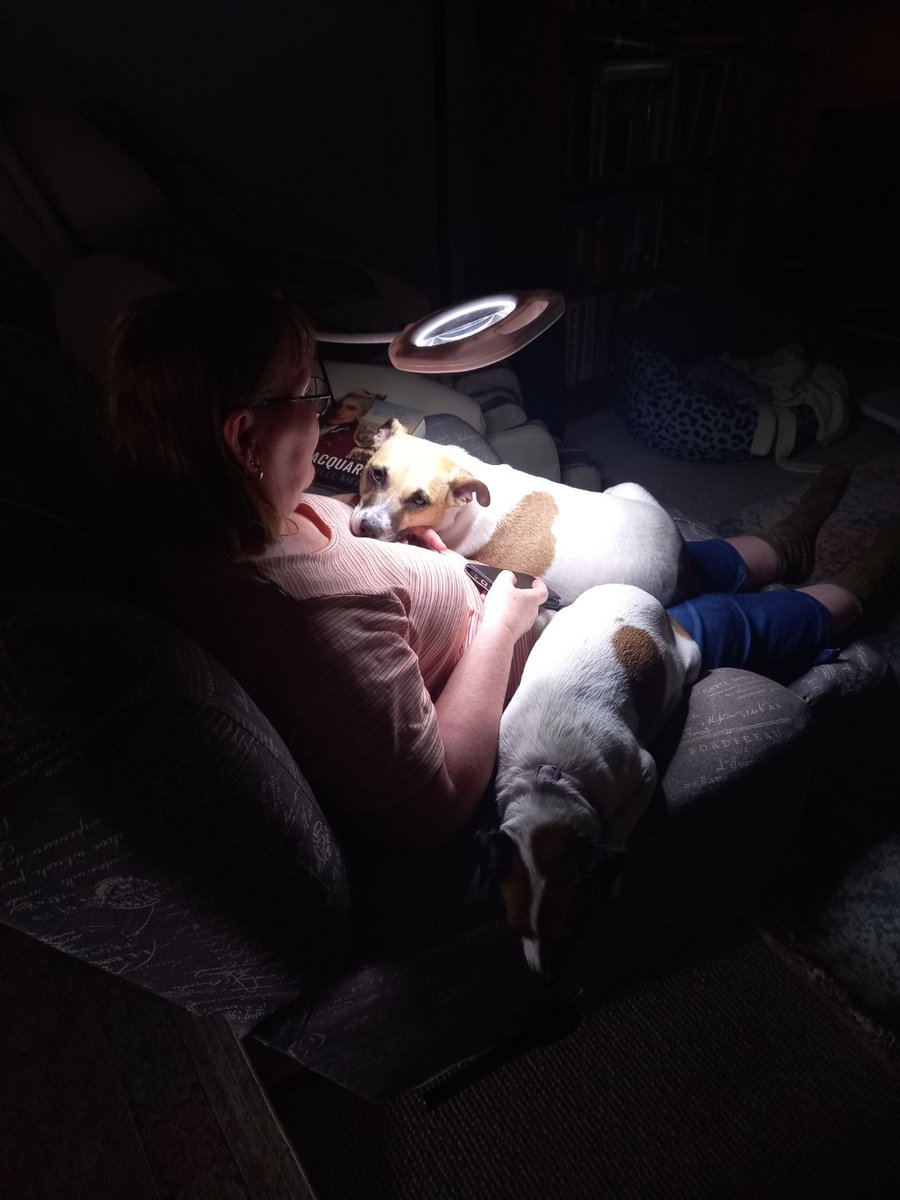 WriteRight2011's tweet photo. I was going to read a book. https://t.co/9eSrd9JvzF