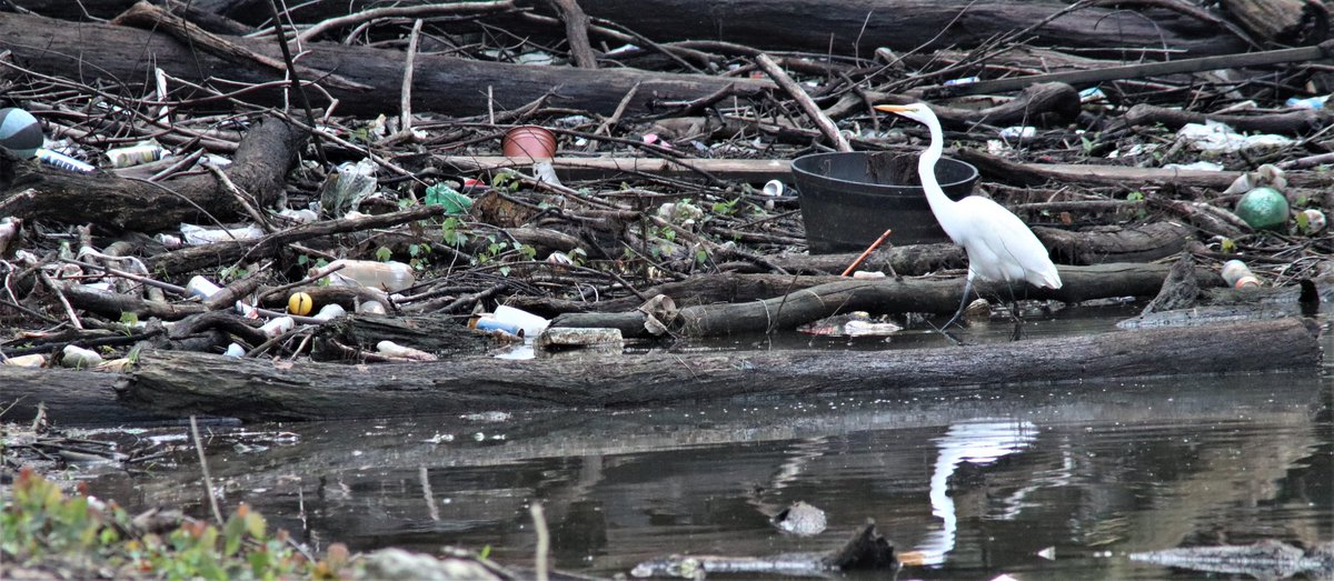 Chuck Isenhart tweet media