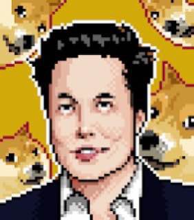 dogsofelon's tweet photo. @AltcoinDailyio @Particlon_xyz @froyoverse The NFTs of the Dogfather himself, @elonmusk 👀👀👀
#DOEnft #DOEgame #DOEtoken #justDOEit #dogsofelontoken https://t.co/NA8515JSTI