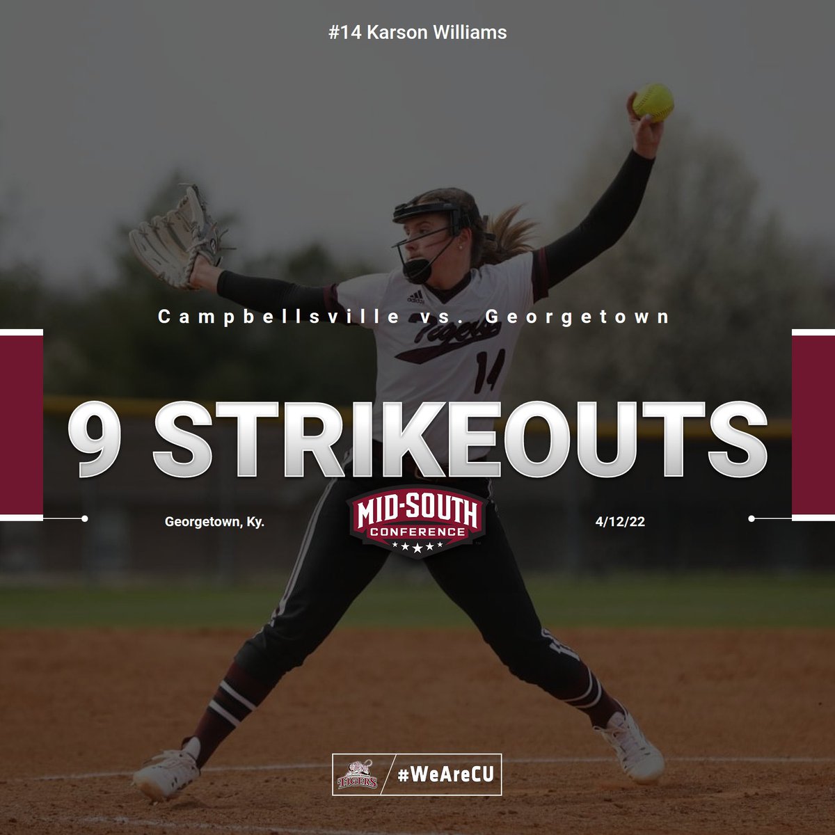 LadyTigerSoftball tweet media