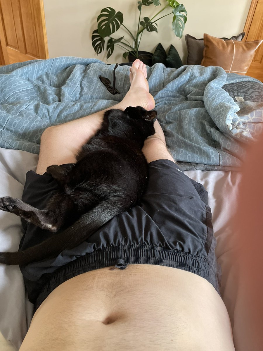 Tonz115's tweet photo. Cat Daddy #cats #daddy #gay #naptime https://t.co/qsq6MYnz7m