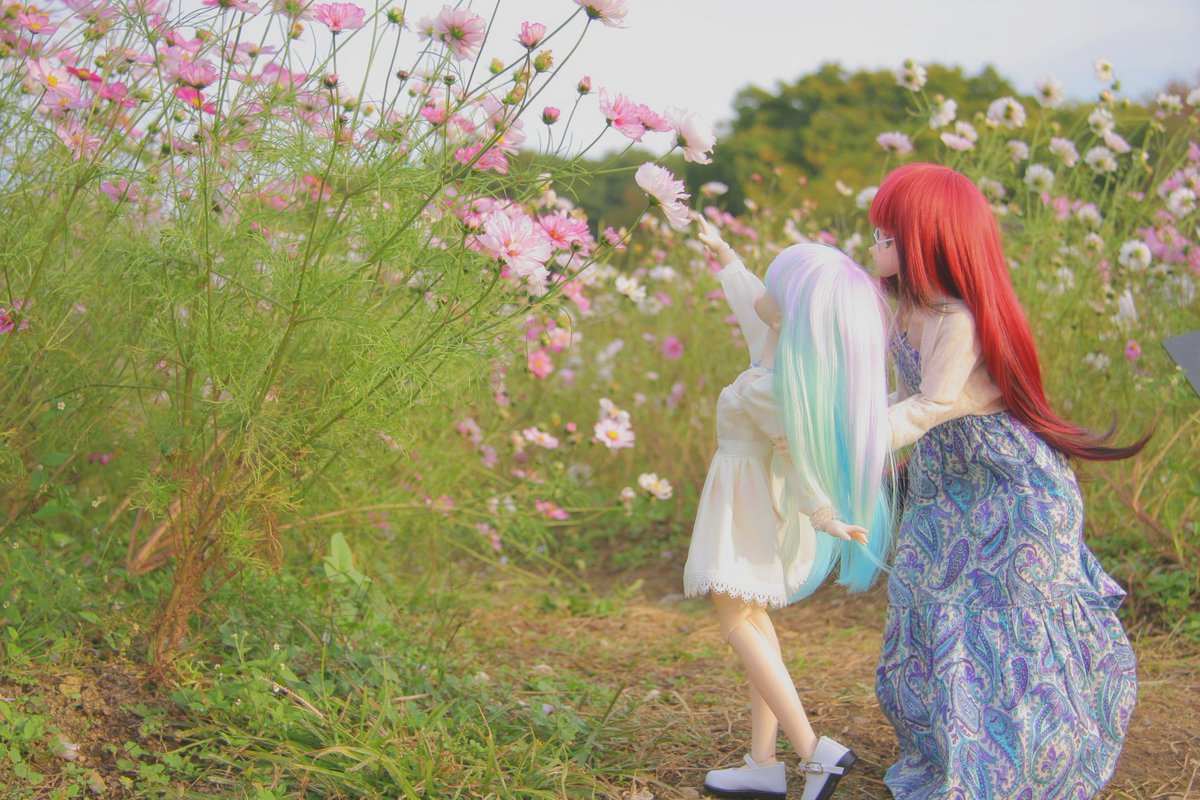 Cure_SOL's tweet photo. #自分が何度も投稿してしまう画像 
お気に入り https://t.co/v9bFCyCCdw