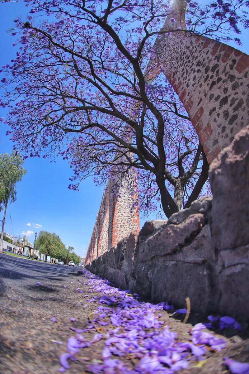 Querétaro siempre regalándonos los mejores paisajes.  #QueretaLOVE <a href="/SoyQueretaLOVE/">SoyQueretaLOVE</a>