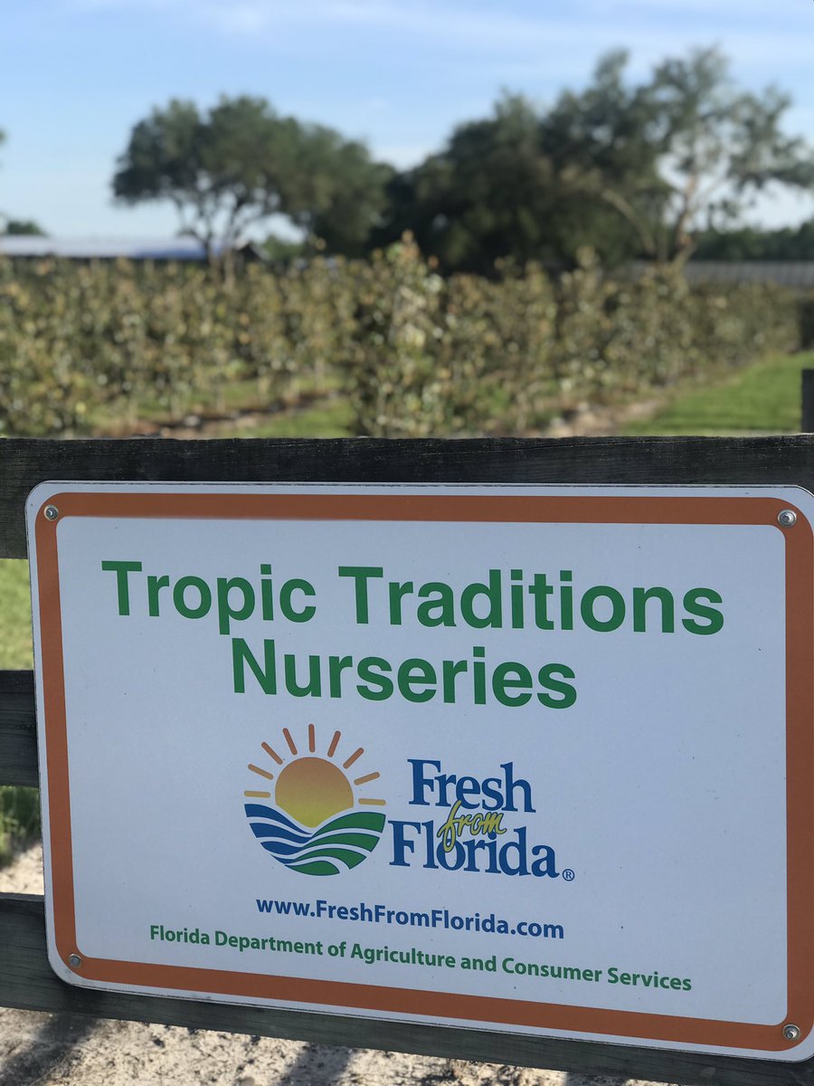mayor_marlowe's tweet photo. Newberry’s Tropic Traditions was honored today by the @FNGLA for their commitment to community, and they couldn’t be more deserving! Congratulations! https://t.co/VfniQggOYk