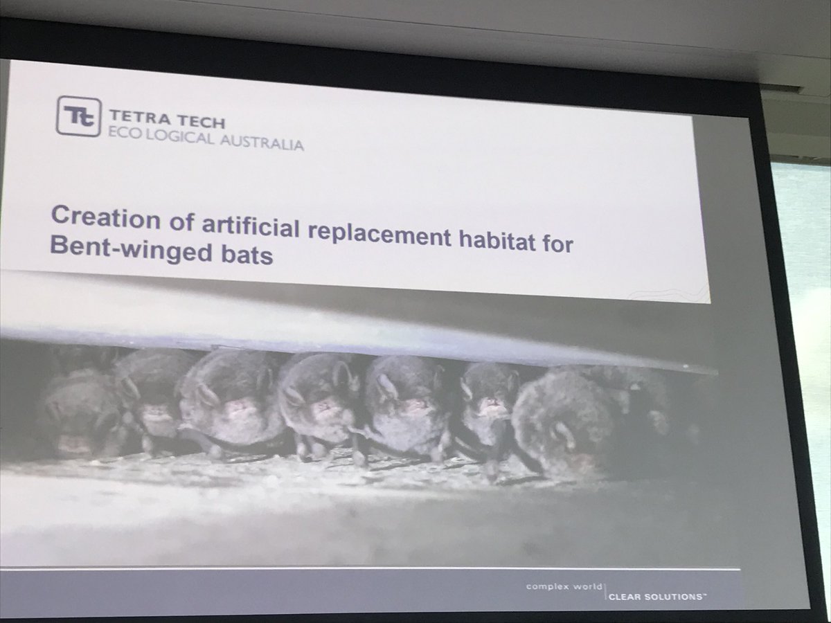 ecoaus's tweet photo. There are so many options for creating microbat roosting habitat under bridges and culverts! Another great talk from Eco Logical Australia’s Alicia Scanlon about the artificial roost options, both retrofit and inbuilt #AusBatSoc2022 https://t.co/UQbwj73tL3