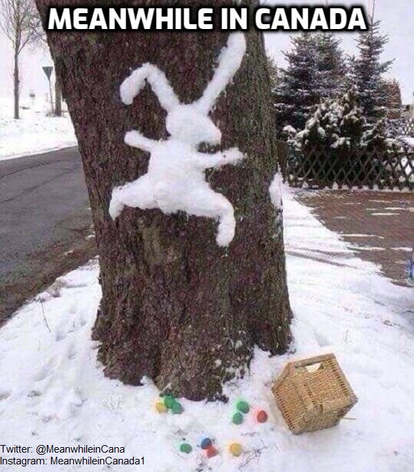 MeanwhileinCana's tweet photo. Meanwhile in #Winnipeg https://t.co/2awFLnUP4n