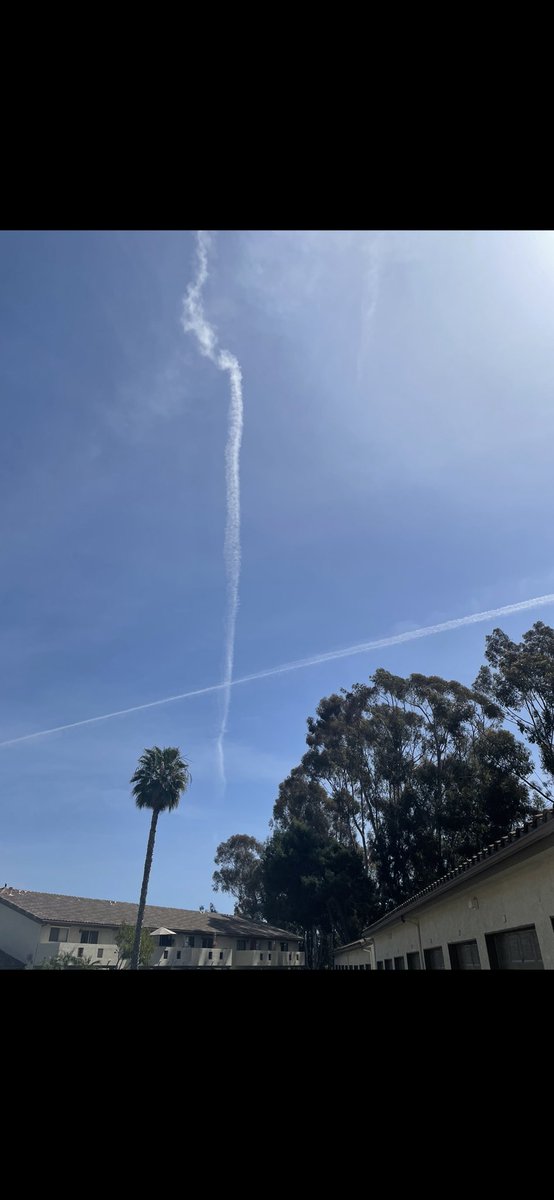 LadyStargate tweet media