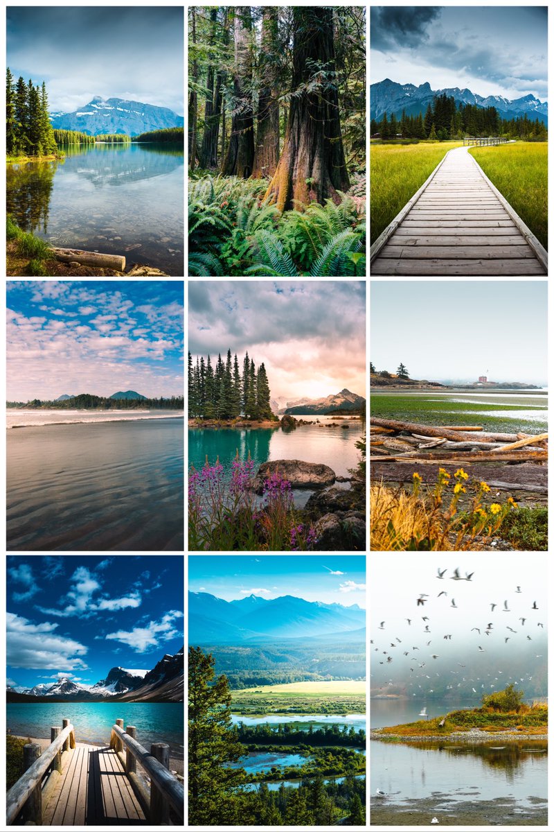 Hello! I’m Isa and here are some beautiful photos I’ve taken 🤍 #PortfolioDay
