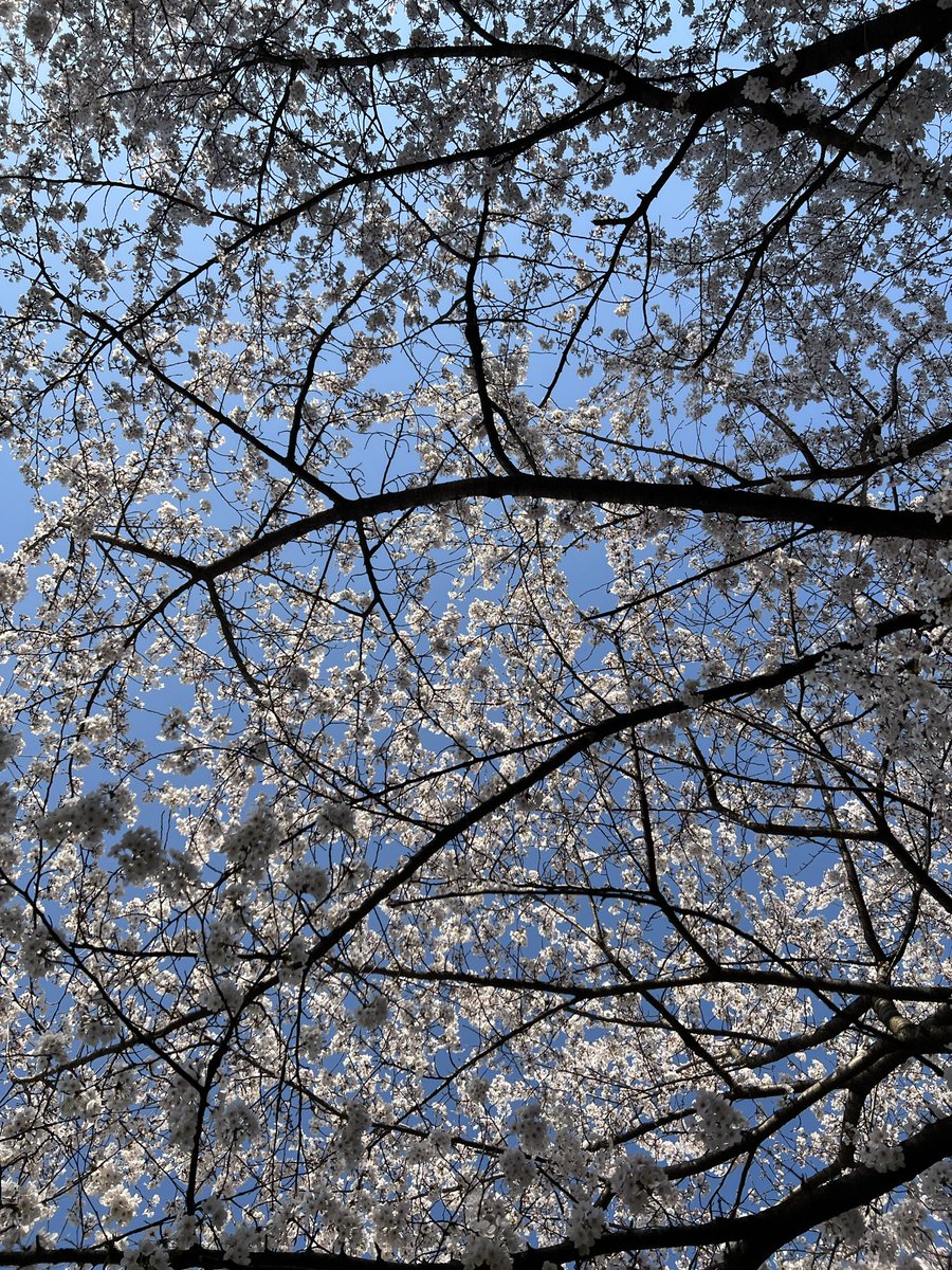 220402 #신비 유니버스 FNS

🐱 팝콘을 보았어요