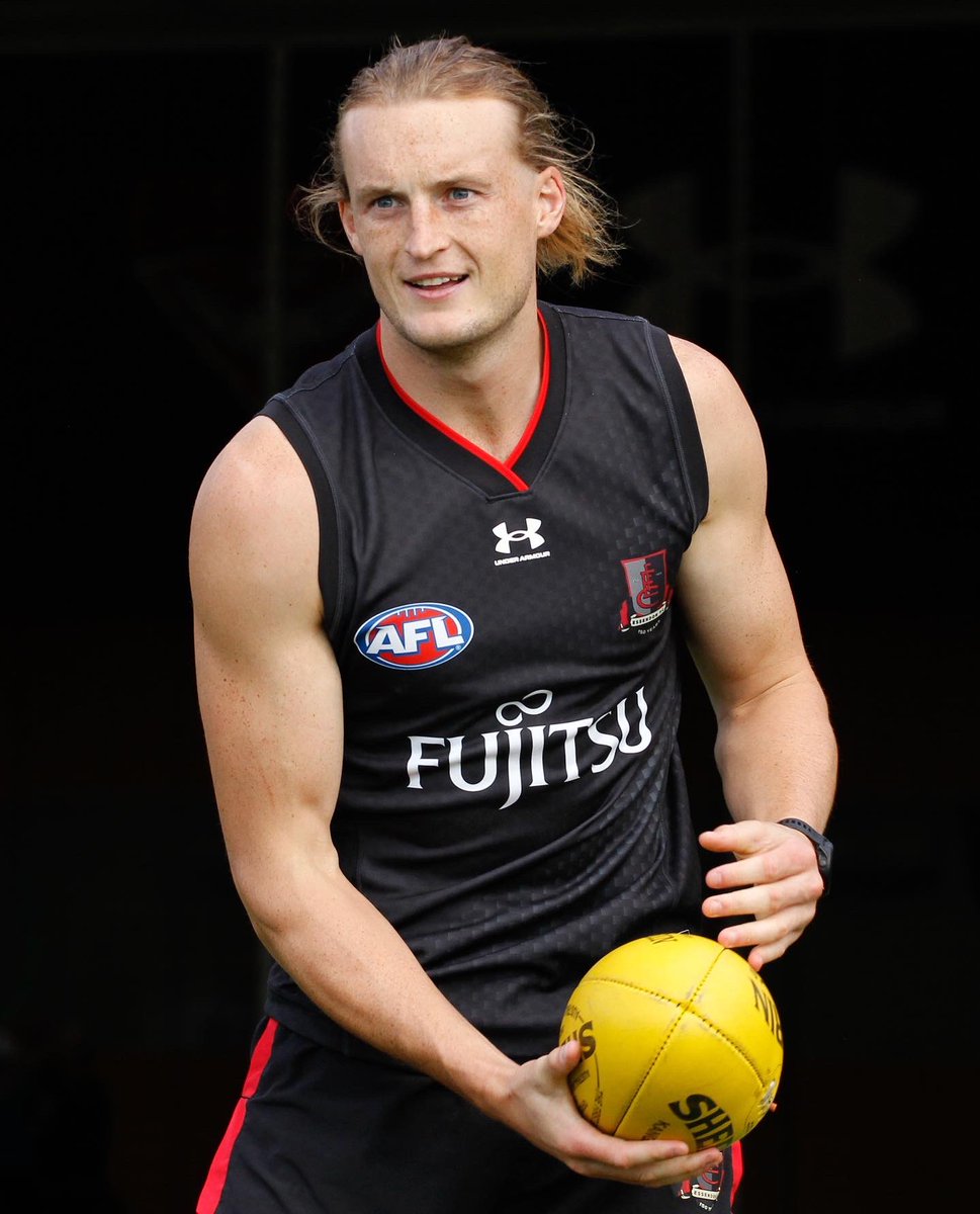 essendonfc's tweet photo. Red Dog appreciation post. https://t.co/aETTYJ6BFJ