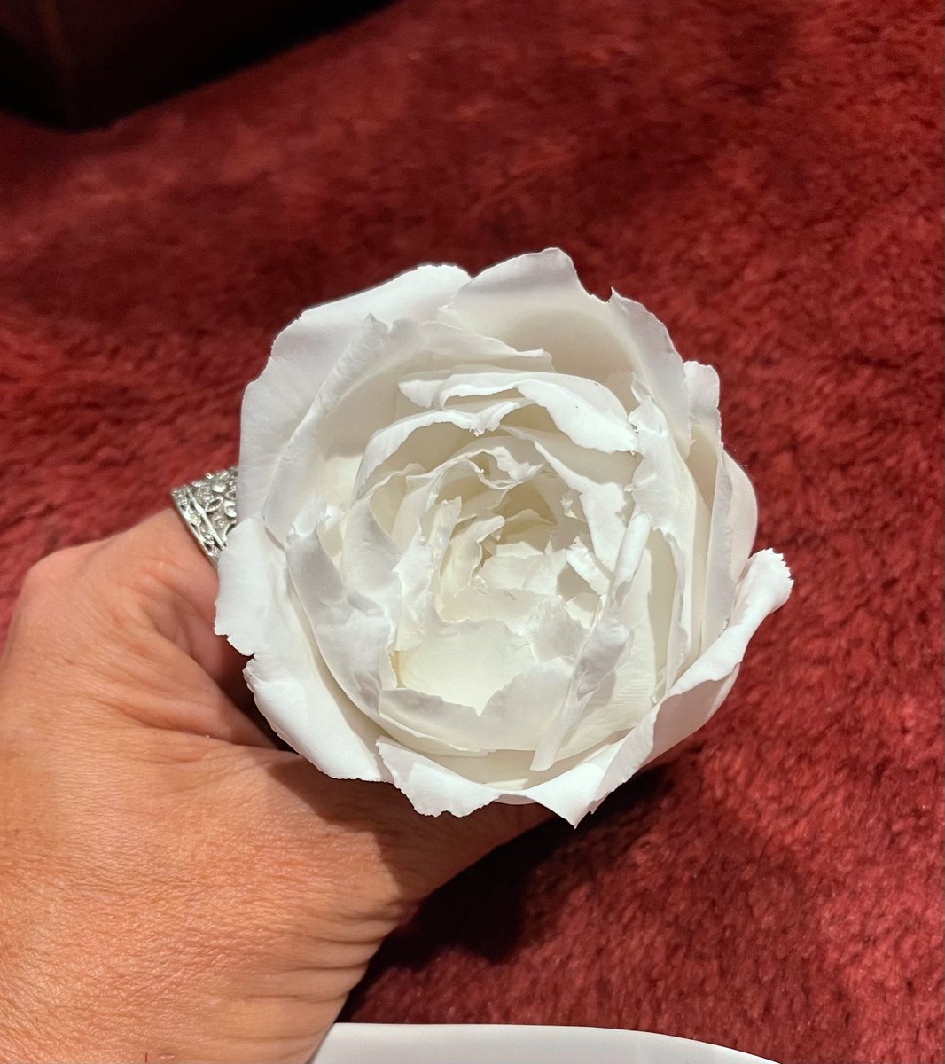 lisadenheath's tweet photo. Started making another flower #sugarflowers #coldporcelainflowers #classesavailable https://t.co/46dtZnf8Fz