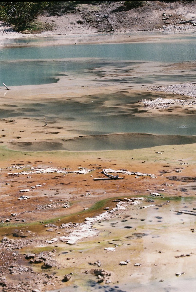 bayloris_boring's tweet photo. Yellowstone on 35mm never gets old https://t.co/FTtwJ02fAY