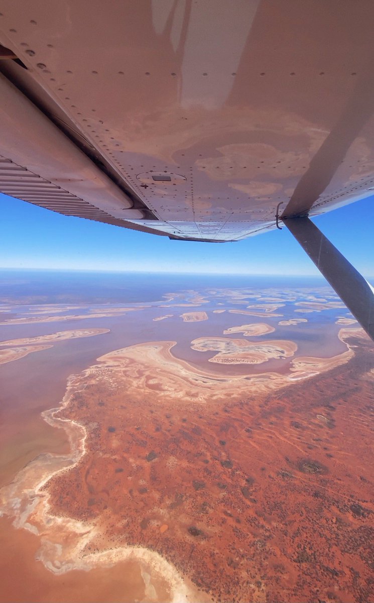 Brooke Littlewood tweet media