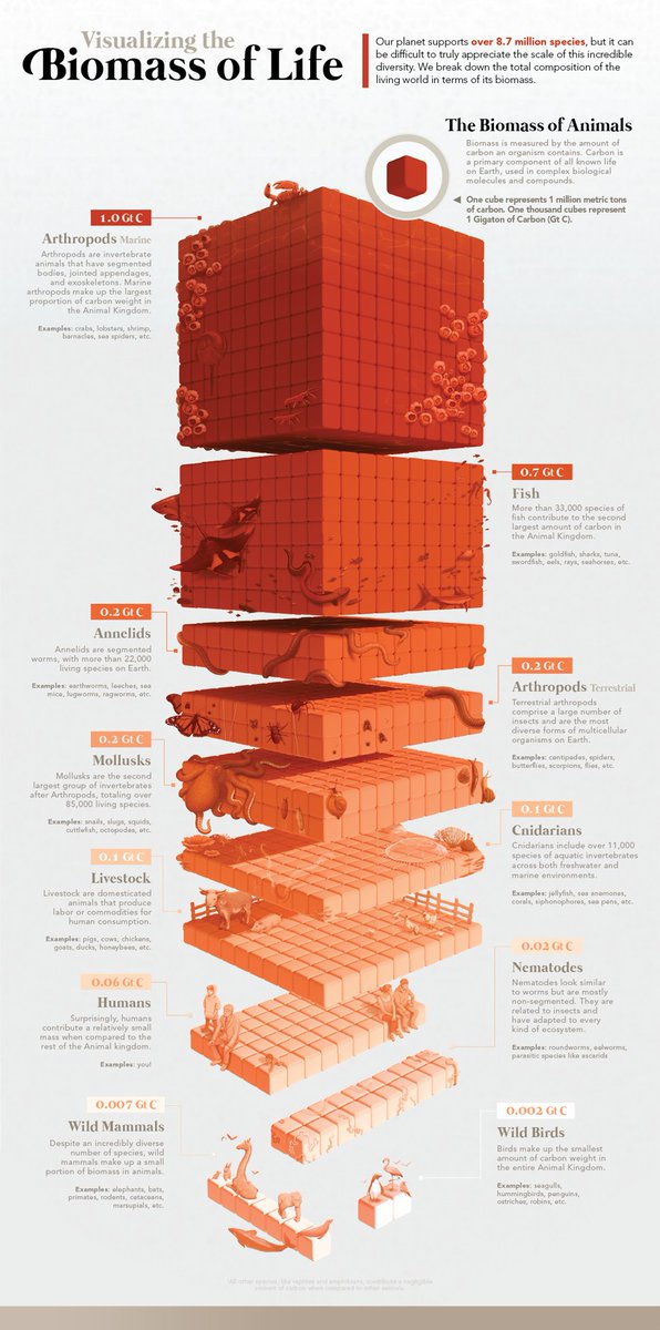 markabelan's tweet image. Hello Portfolio Day, from a scientific + data illustrator! 👋🏻🎨🔬 #PortfolioDay #PortoflioDay2022 #artist #sciart