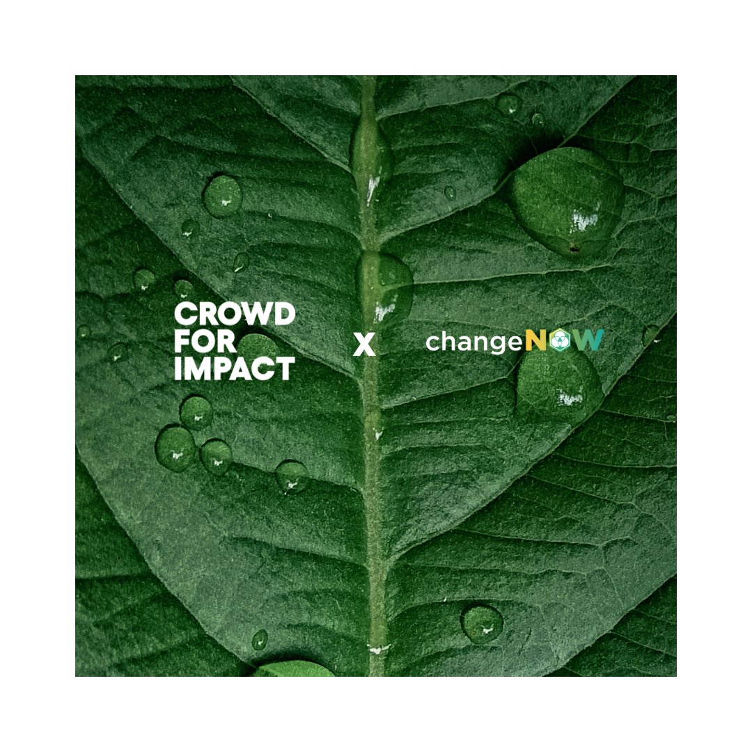 Crowd For Impact was chosen to pitch at  @ChangeNOW_world. We are honored to be a part of breaking down barriers in accelerating environmental solutions and solving our planet’s biggest challenges. 

#ChangeNOW2022 #sustainability #impact #sdgs #impactstartup #globalgoals #summit