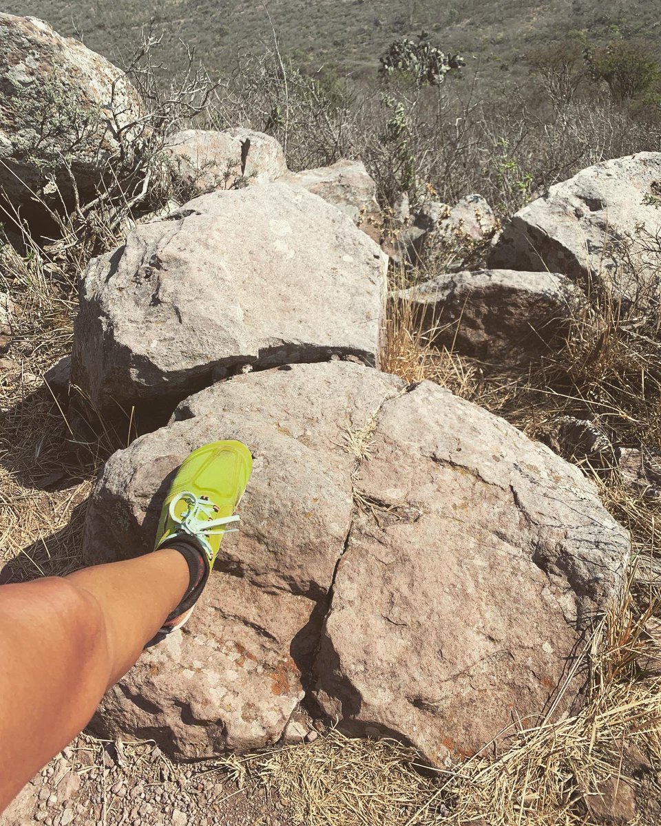 IvonneSales's tweet photo. Vamos sume que sume km y carga en las piernas🤪 🥵y fortaleciendo la mente. Todo rumbo a @ultracoahuila 100 millas #sinlimitesmentales
#hammernutrition #quirosportsqro #hammernutritionmx #altrarunning #altrarunningfans #suunto #qrolove
#buff #buffmexico 😎 #eassun #eassunmx https://t.co/J396cPpkdv