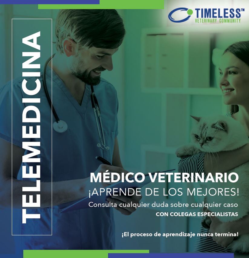 TimelessVetES's tweet photo. #MédicoVeterinario El proceso de aprendizaje nunca termina, y una profesión tan compleja como lo es la Medicina Veterinaria, demanda una constante actualización de conocimientos y técnicas.

¡Regístrate gratis!
https://t.co/JsUndpSkXU https://t.co/kYF2PqM4yk