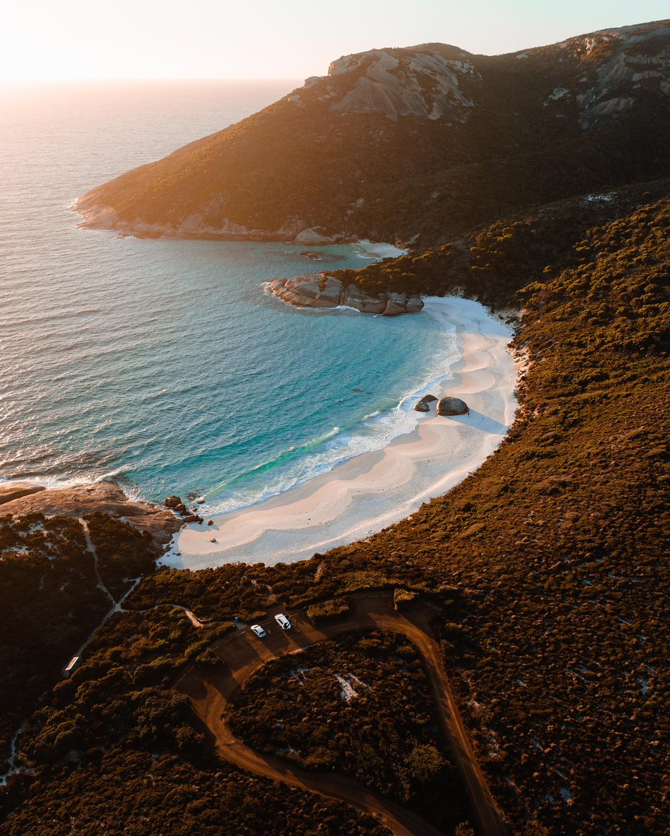 Dylan Alcock tweet media