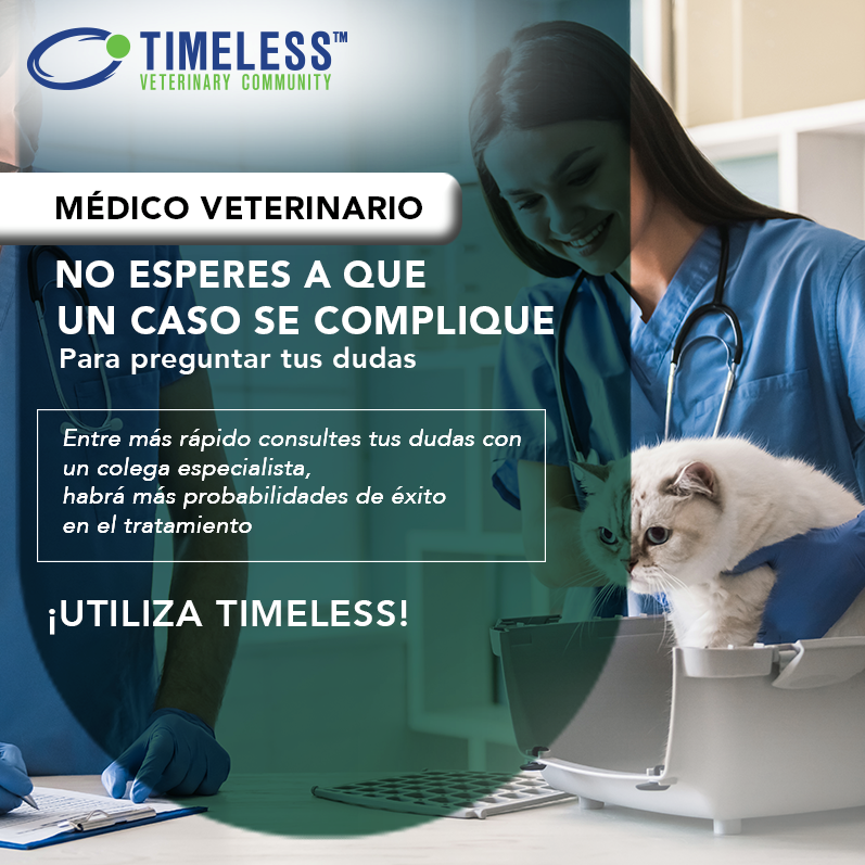 TimelessVetES's tweet photo. #MédicoVeterinario ¿Tienes dudas sobre el diagnóstico de un paciente?
🔸 Actuar rápidamente ante esta situación puede significar la diferencia en el pronóstico del paciente.
🔸 Si tienes dudas con un caso clínico ¡Consulta con un colega especialista!

https://t.co/JsUndpSkXU https://t.co/Iuf41yEuLN