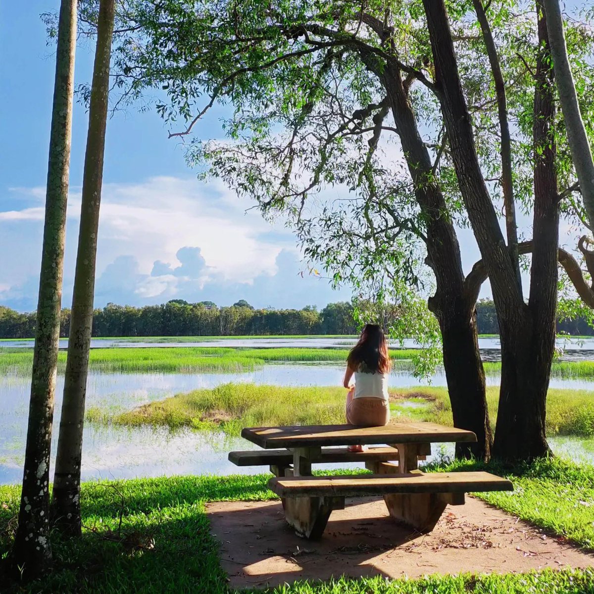HumptyDooBarra's tweet image. 🦜🦋 In the wet season local beauty spot McMinns Lagoon is lush and teaming with wildlife. The reserve around it contains over 41 hectares of unspoilt wetland, protecting one of the largest varieties of flora and fauna in the Northern Territory.

📷@yinuonz