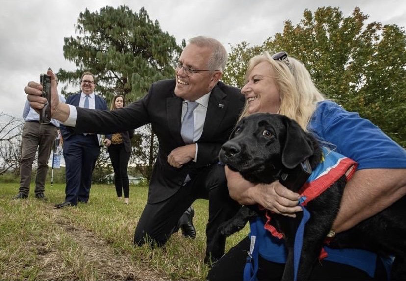 marquelawyers's tweet photo. If dogs could vote https://t.co/e593ciw3HK