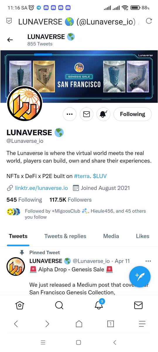 thienadp tweet media