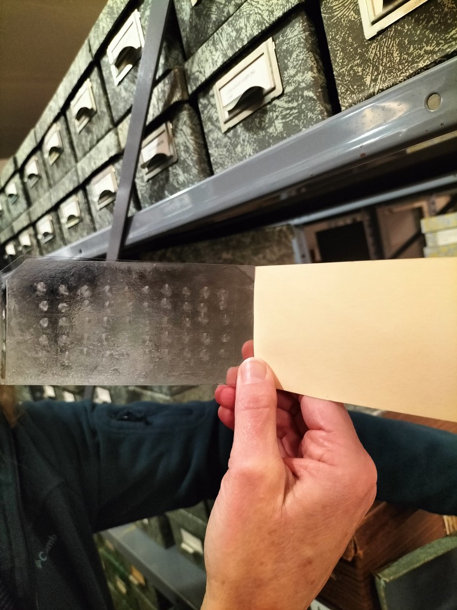 Larvae. Otoliths. Scales. Amazing fishes. And above all a warm welcome by an enthusiastic collection manager. The <a href="/UW/">University of Washington</a> <a href="/burkemuseum/">Burke Museum of Natural History and Culture</a> fish collection: one of the most versatile and exciting ones I have ever been privileged to visit! <a href="/UW_SAFS/">UW SAFS</a> #collectionsareessential