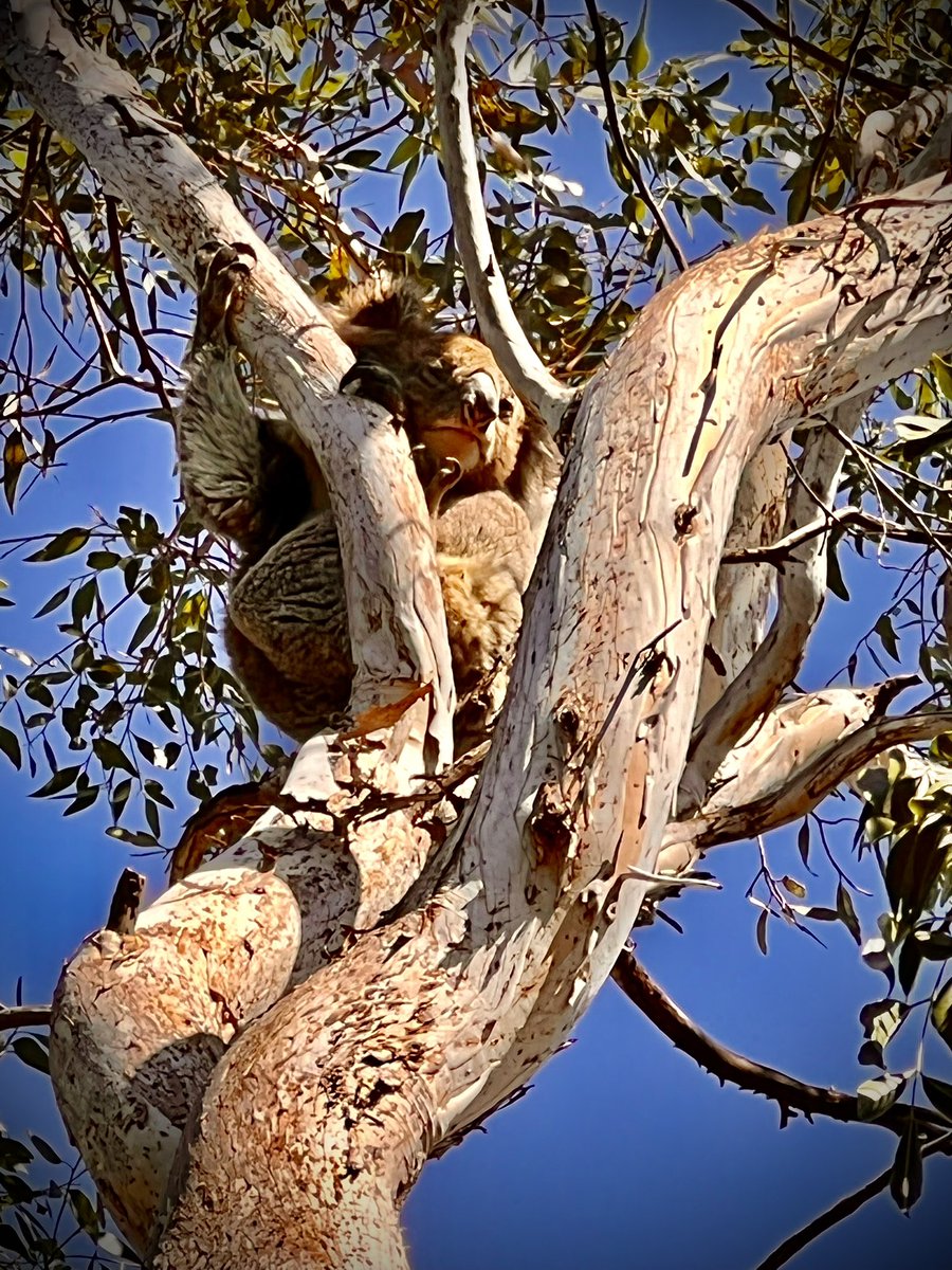 arborsmarty's tweet photo. My view. https://t.co/4BmO8nAIae
