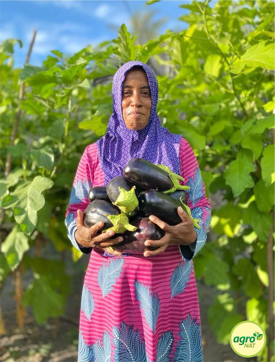 agronationalmv's tweet photo. ލ. ފޮނަދޫ ގައި ބަށި ހައްދާ މި ދަނޑުވެރިޔާ އަށް އެގްރޯނެޓާއެކު ދަނޑުވެރިކަމުން އުފާވެރިކަން. @HaroonRshdh @Fulhu_2642 @MoFMRAmv @MoEDmv @faya_i https://t.co/qfmwqXbNaf