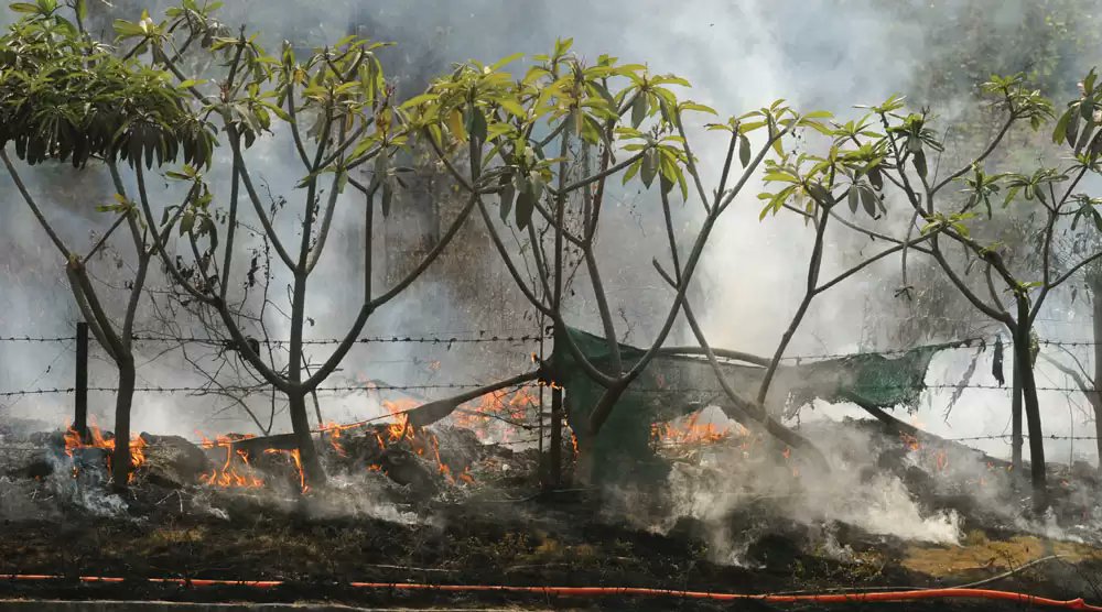 ThePuneMirror's tweet photo. Over the last two months, 42 incidents of forest fires incidents were reported in #Pune, where most of them were man-made, say forest officials. Even the #PMC reported six similar incidents at the #Taljai hills in last fortnight.
Read more here: https://t.co/U0GErcSUgq
@PMCPune https://t.co/0rWKJfb4Rv