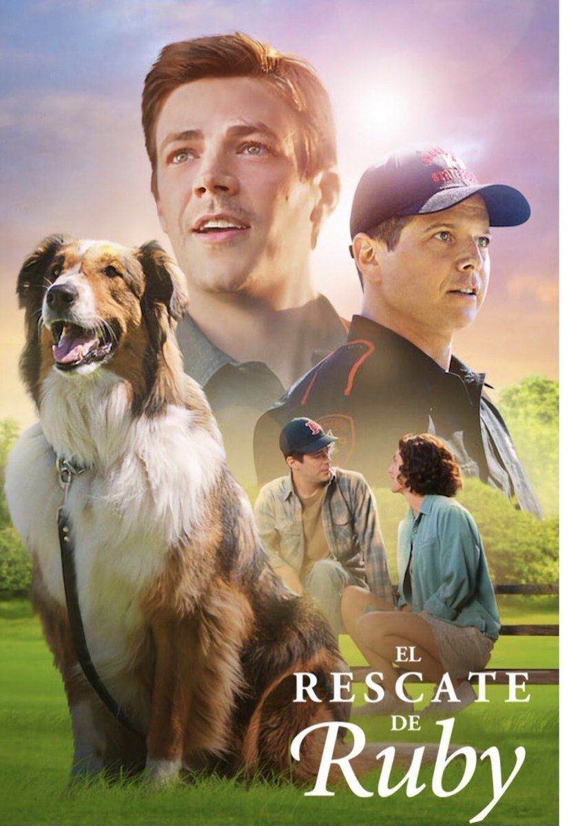 Sussan_91's tweet photo. Las películas de perritos jamás decepcionan #elrescatedeRuby @NetflixLAT #GrantGustin https://t.co/UmuOL65SIj