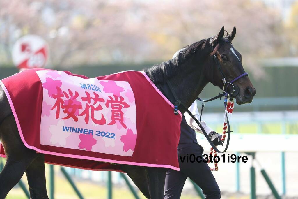 桜花賞表彰式 Twitter Search Twitter